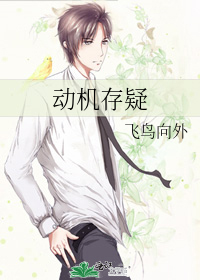 动机存疑